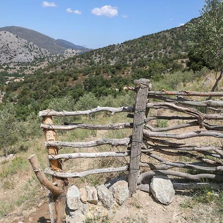 Les Bergeries "Le Figuier" Hotell Omessa Eksteriør bilde