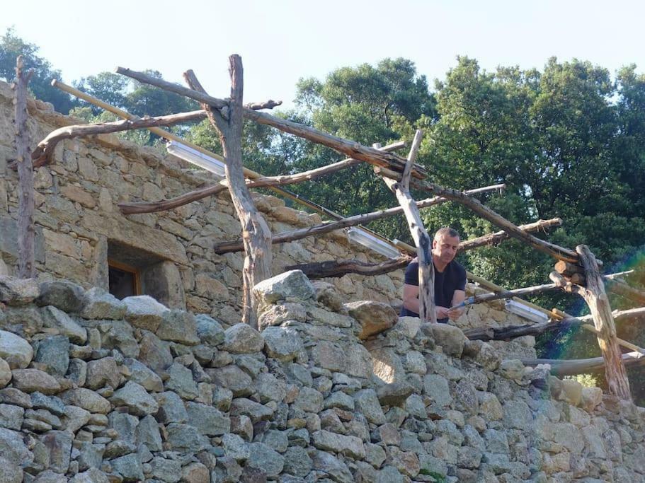 Les Bergeries "Le Figuier" Hotell Omessa Eksteriør bilde