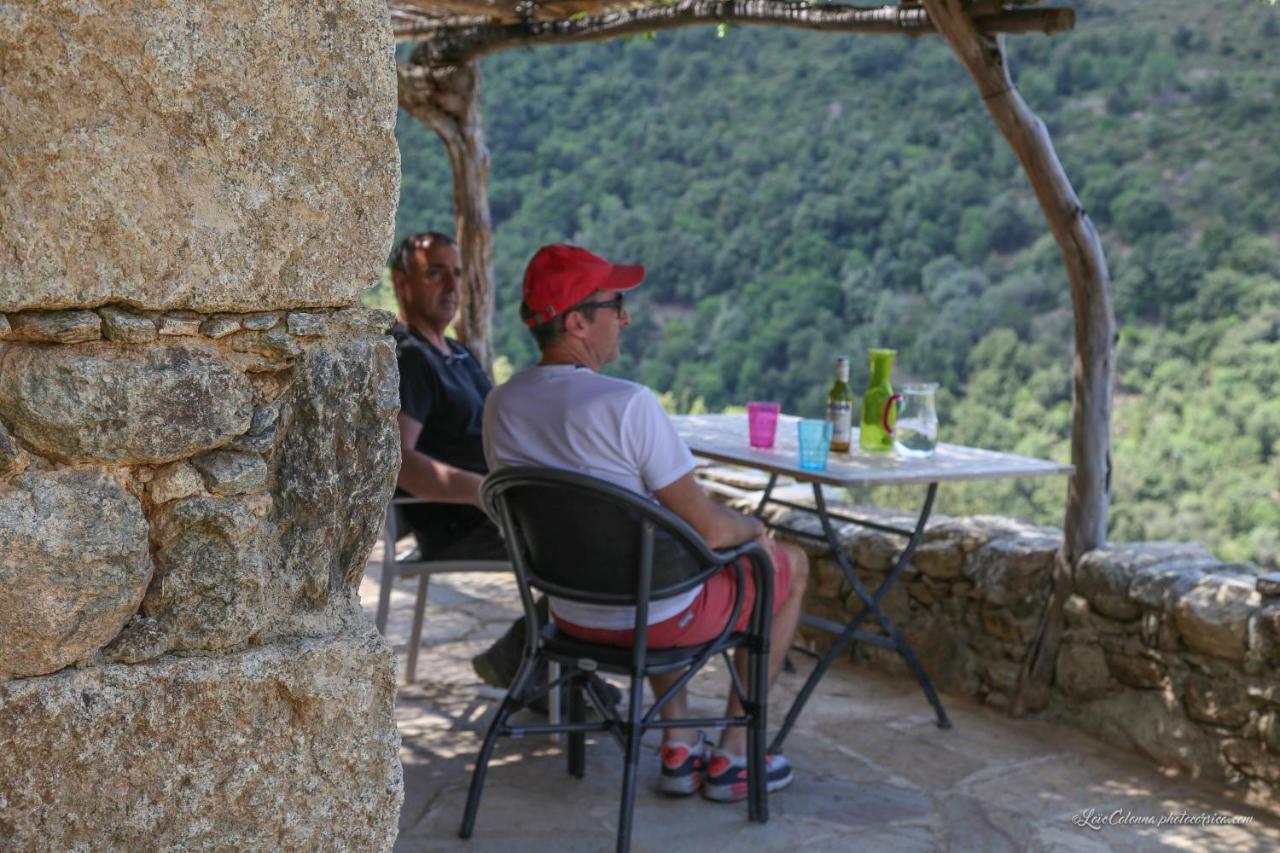 Les Bergeries "Le Figuier" Hotell Omessa Eksteriør bilde