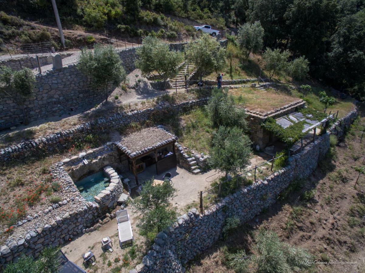 Les Bergeries "Le Figuier" Hotell Omessa Eksteriør bilde